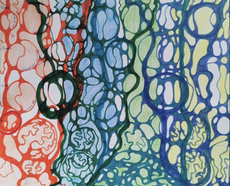 Violeta’s Neurographica drawing with bands of orange, green, blue and yellow cells